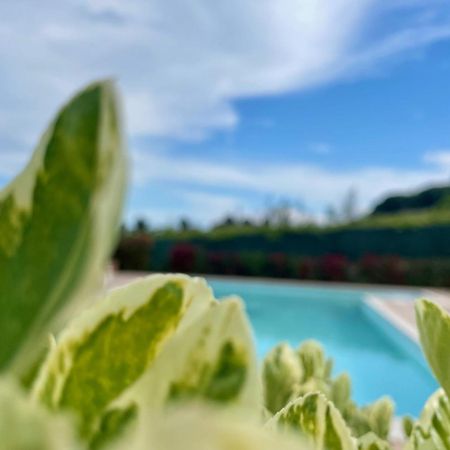 Villa Rosa Di Martinsicuro Vigneto - Italian Restaurant & B&B מראה חיצוני תמונה