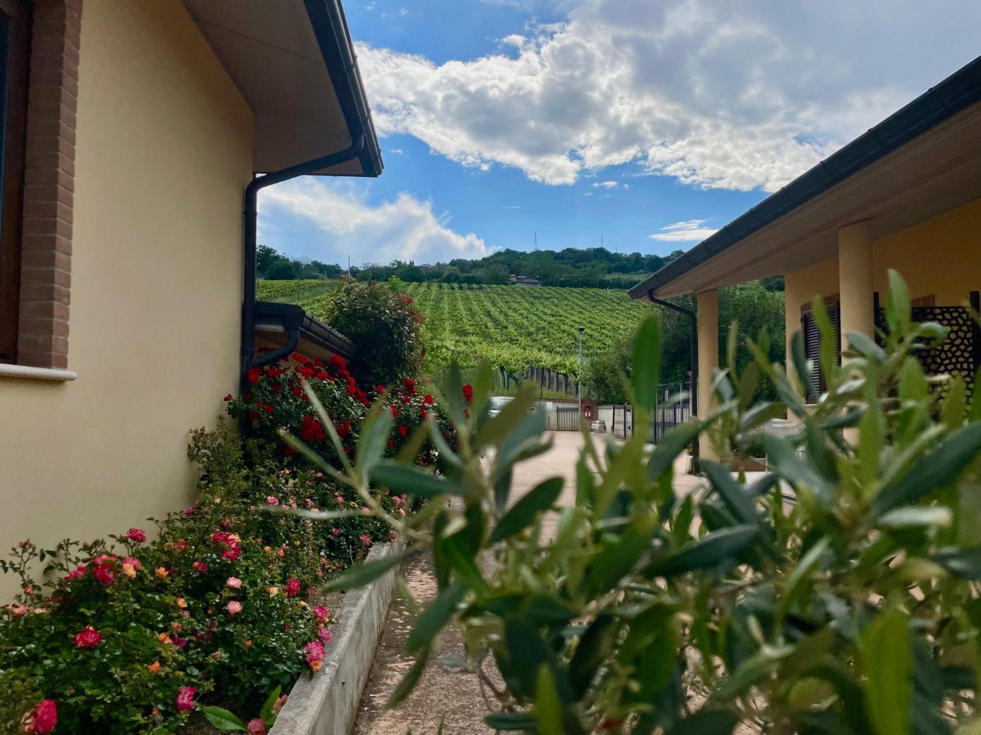 Villa Rosa Di Martinsicuro Vigneto - Italian Restaurant & B&B מראה חיצוני תמונה